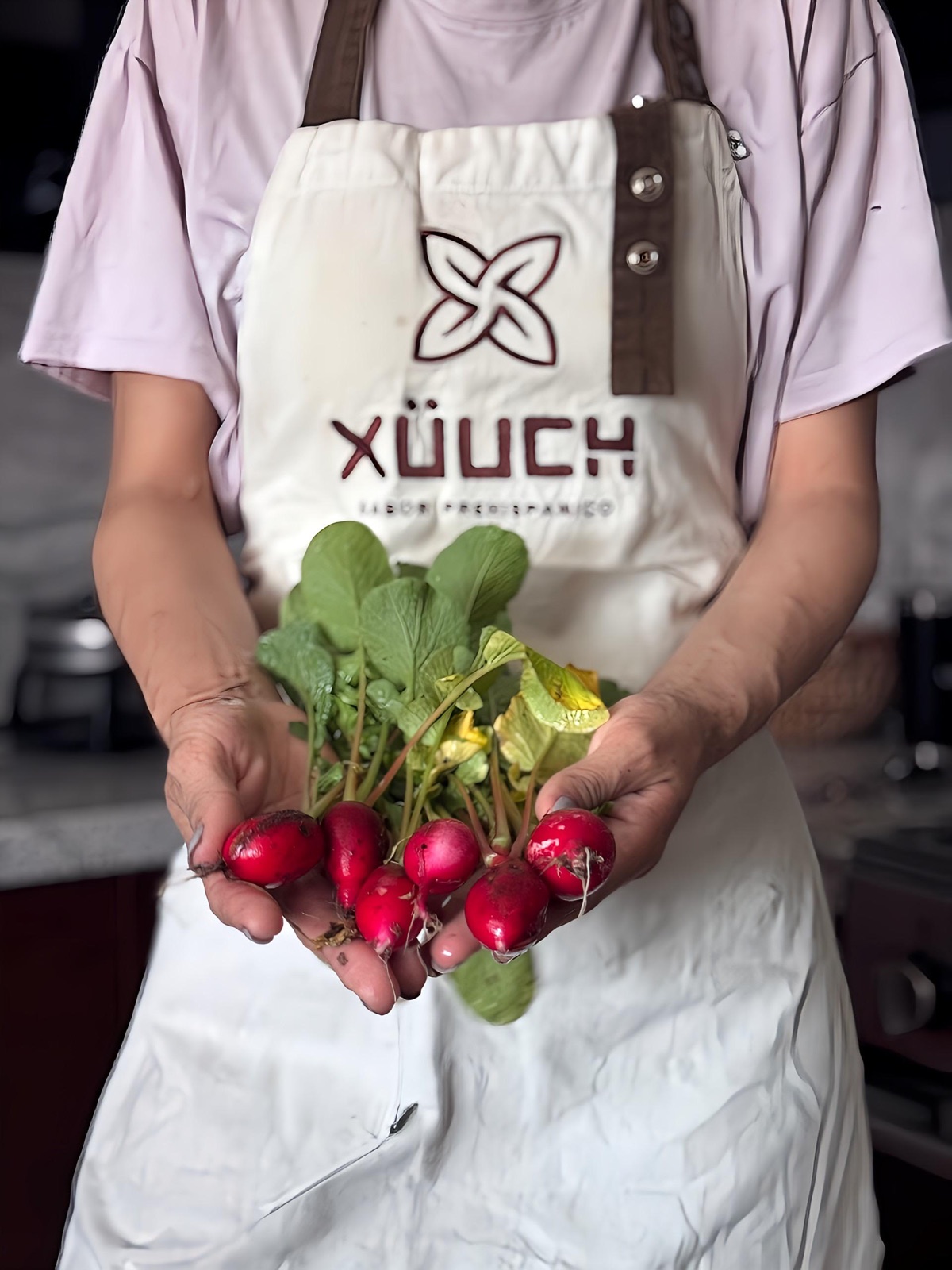 Ingredientes
